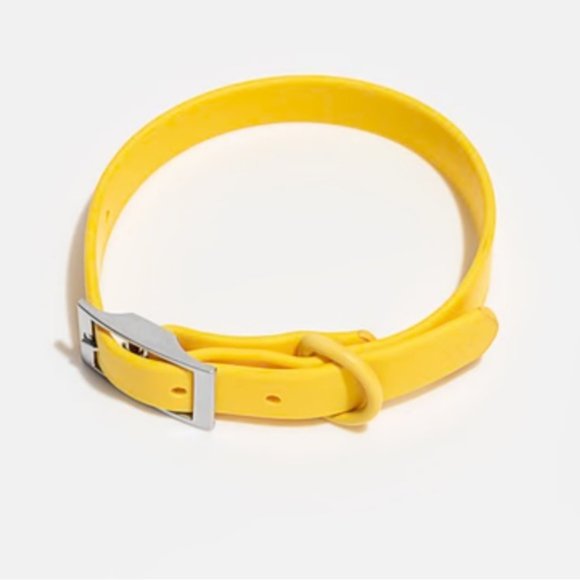 NWT Wild One Dog Collar - Picture 1 of 8